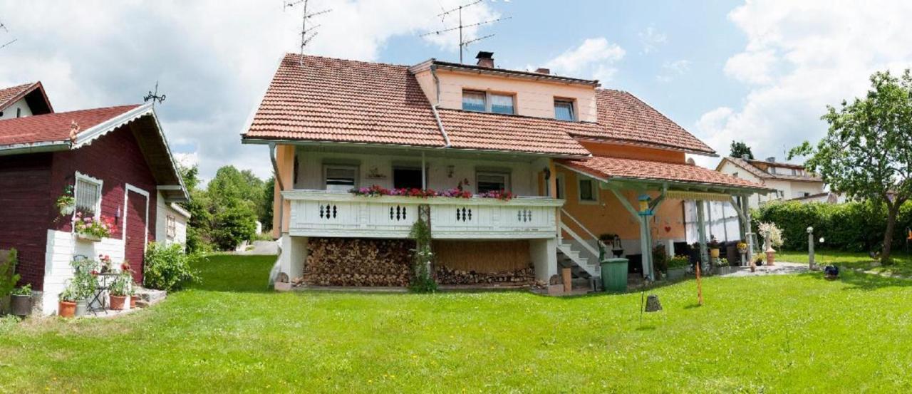 Ferienwohnung Winterstetter Am Waldglasgarten Sankt Oswald-Riedlhuette Exterior foto